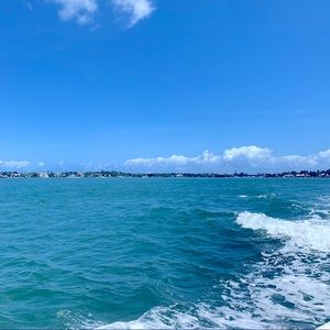 Meet your Posher, Avery